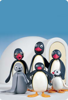 about pingu